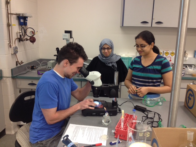 de Lencastre Lab-Summer2014