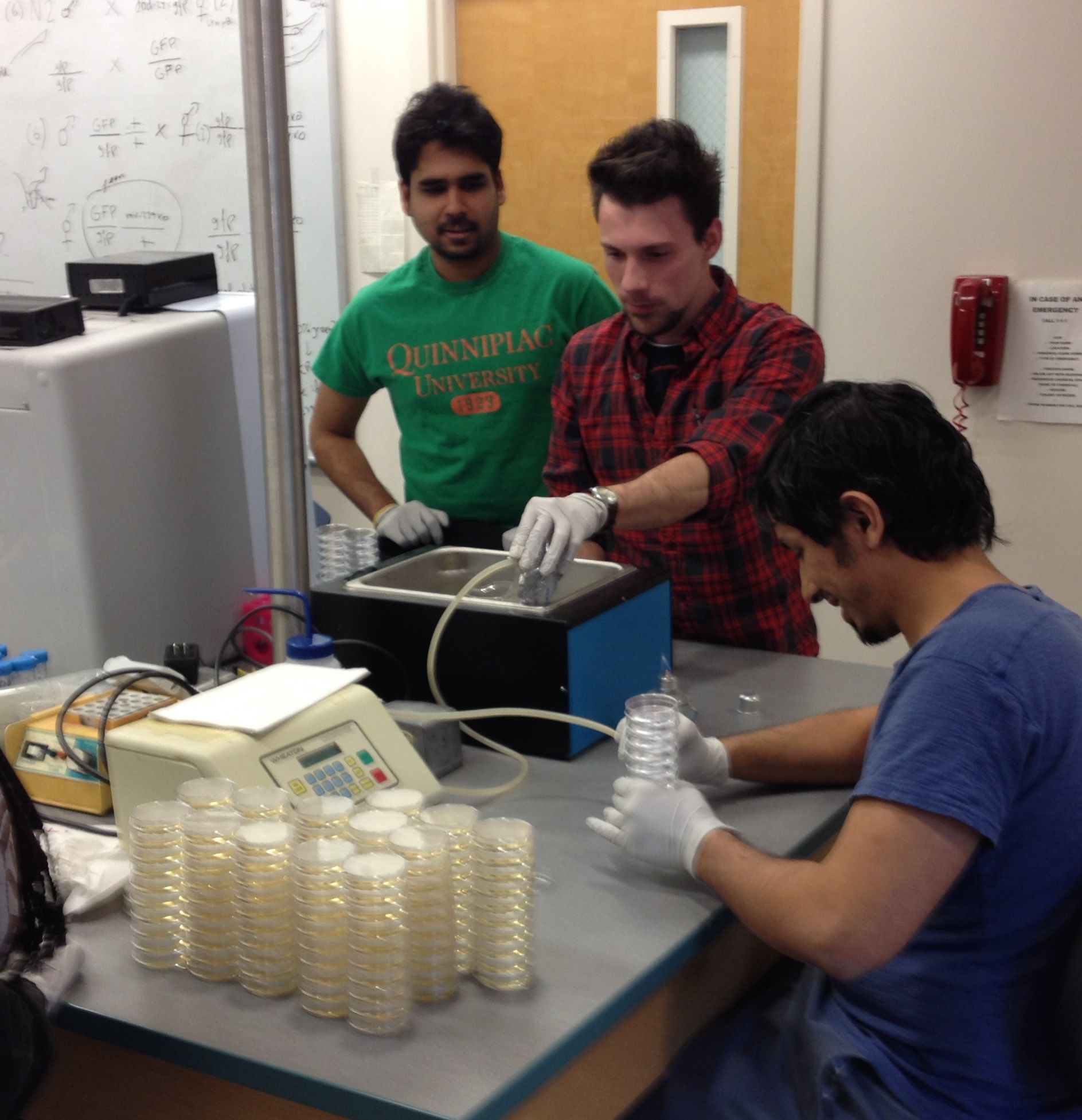 de Lencastre Lab-Spring2014