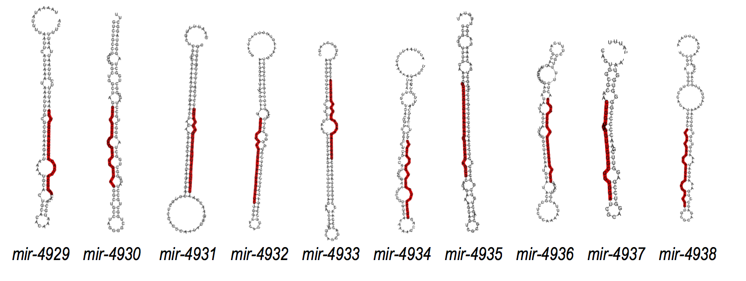 fig1