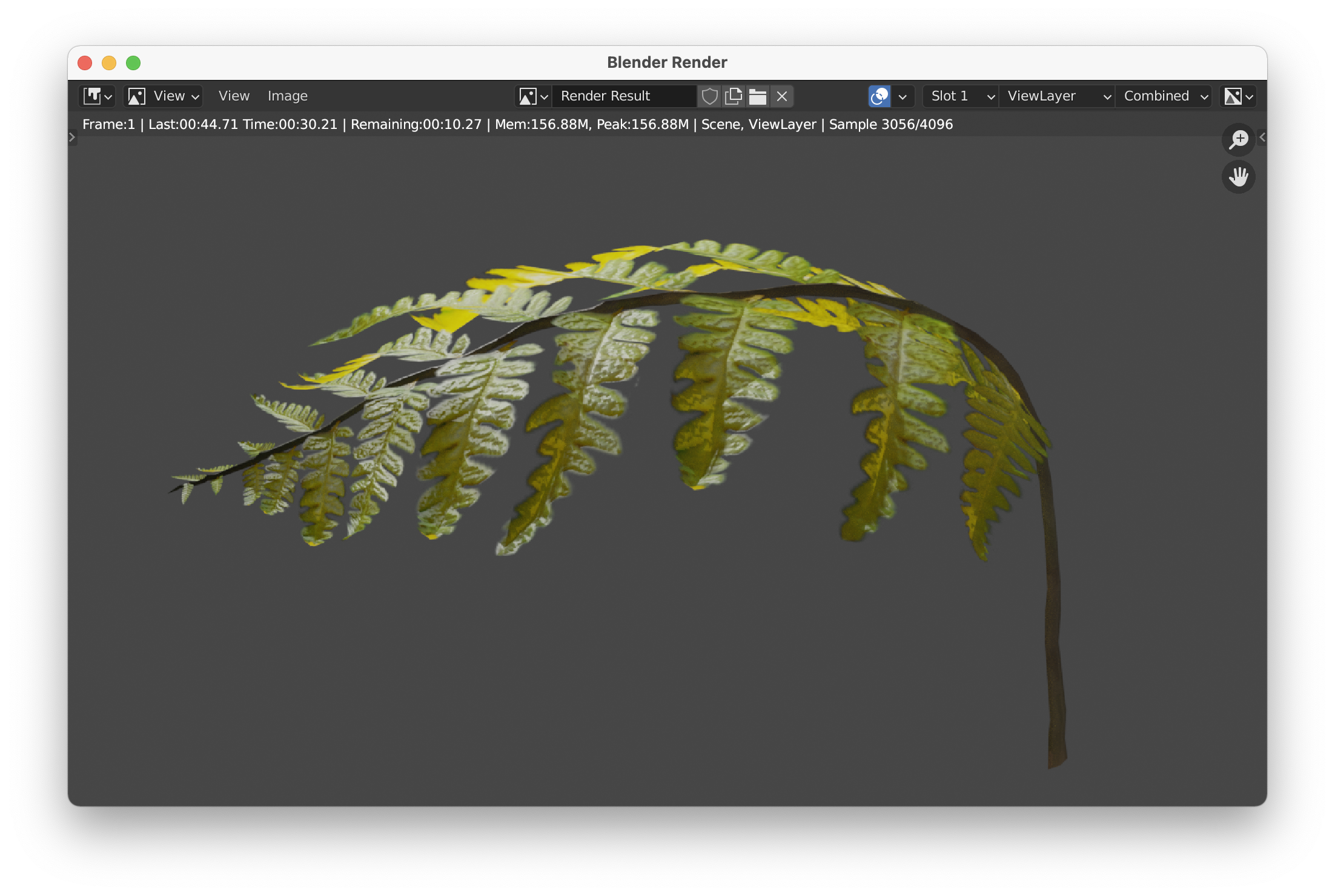 a fern render