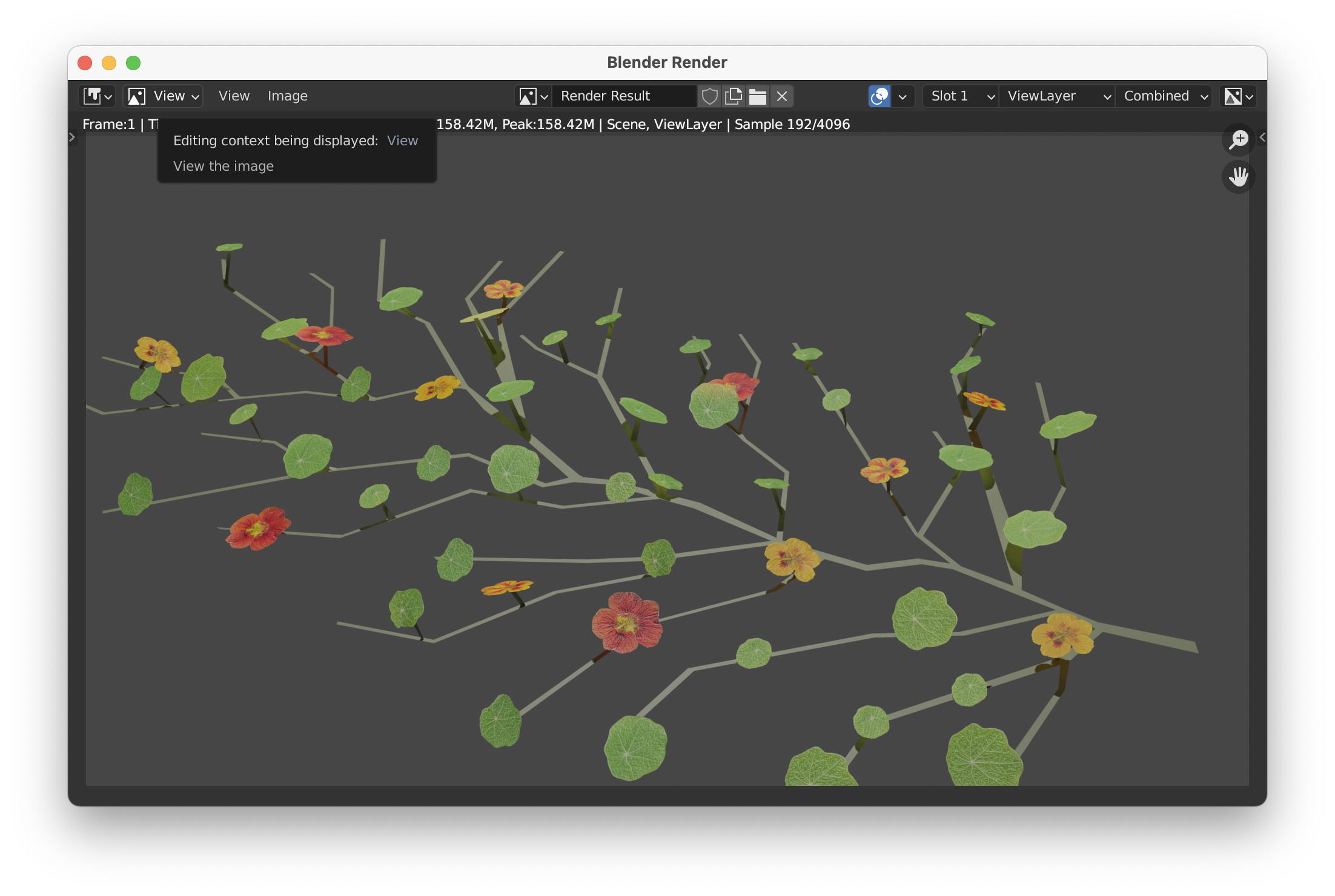 a nasturtium render