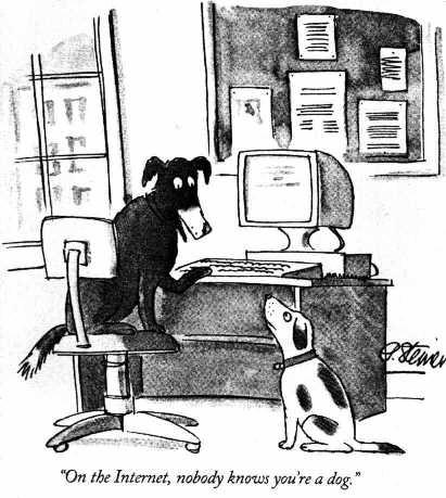 two dogs
