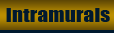 Intramurals